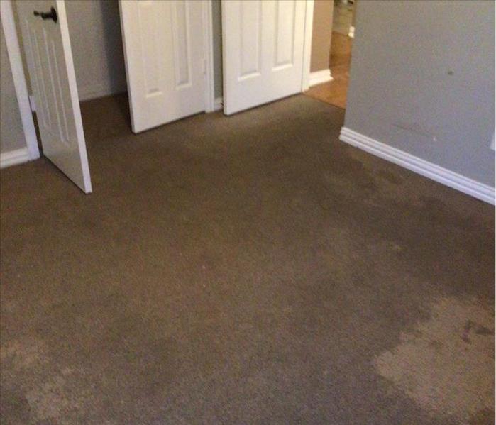 Bedroom with soaked carpet from water damage